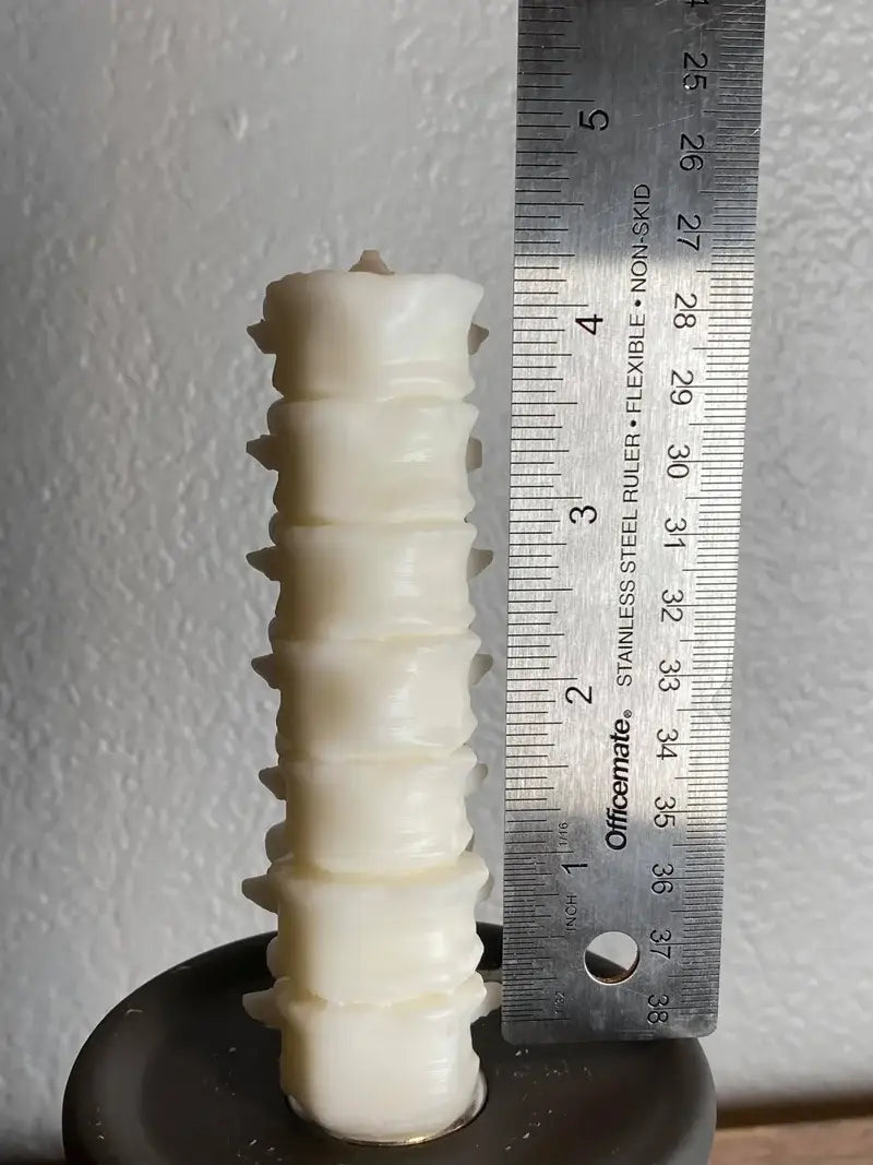 Small Spine Candle: White / Fireside