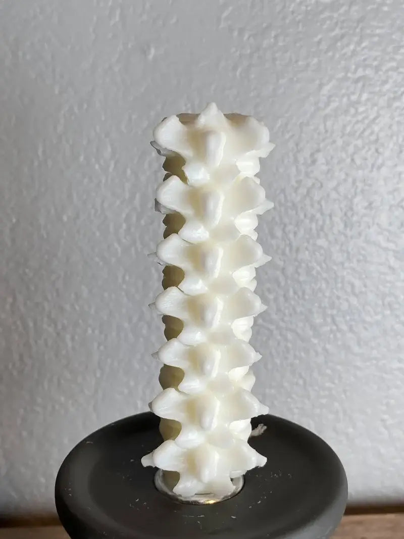 Small Spine Candle: White / Fireside