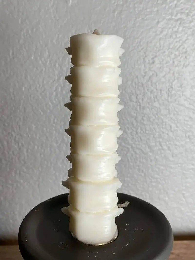 Small Spine Candle: White / Fireside