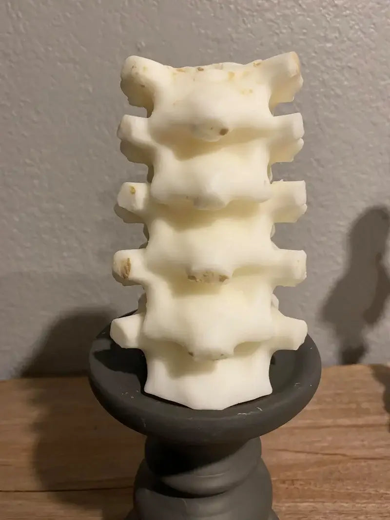 Large Spine Candle: White / Oatmeal Milk & Honey