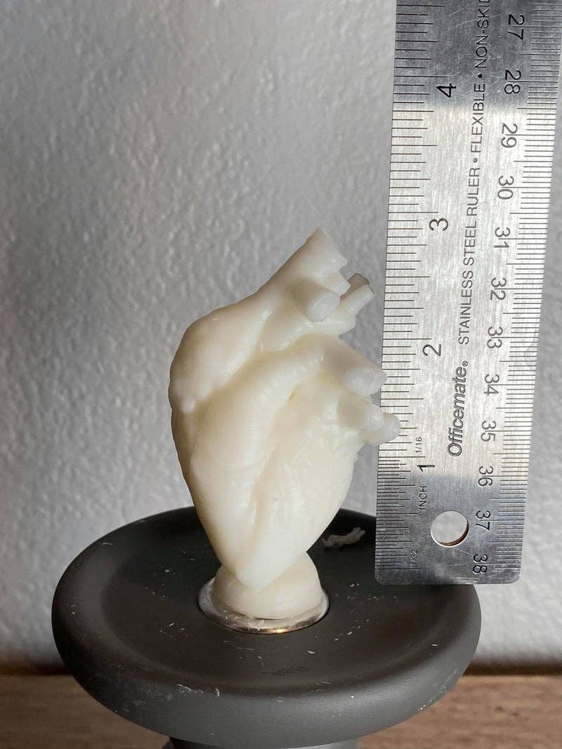 Anatomical Heart Small: Red / Apothecary