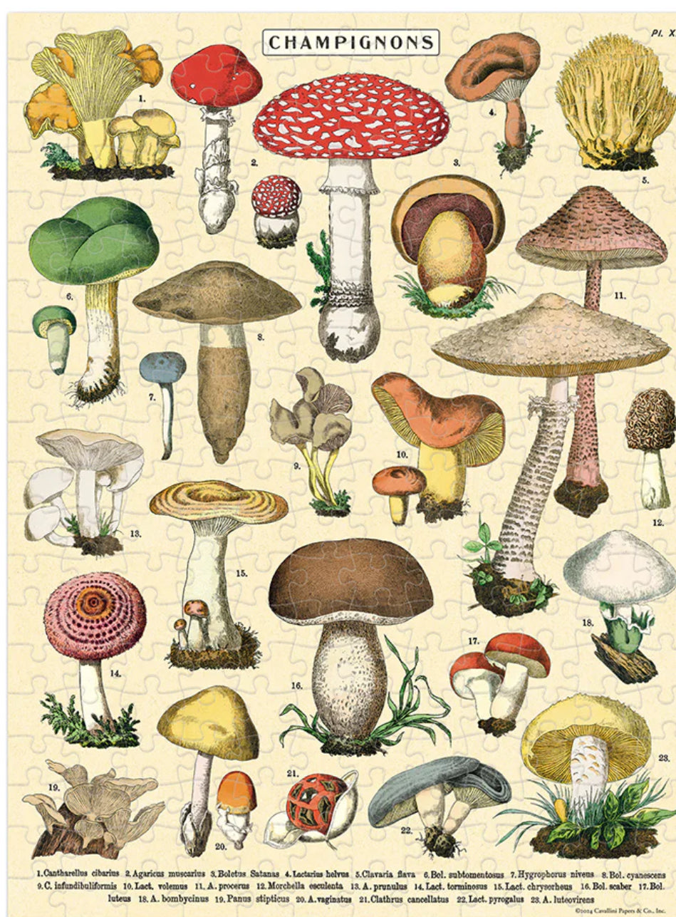 Mini Mushroom Puzzle