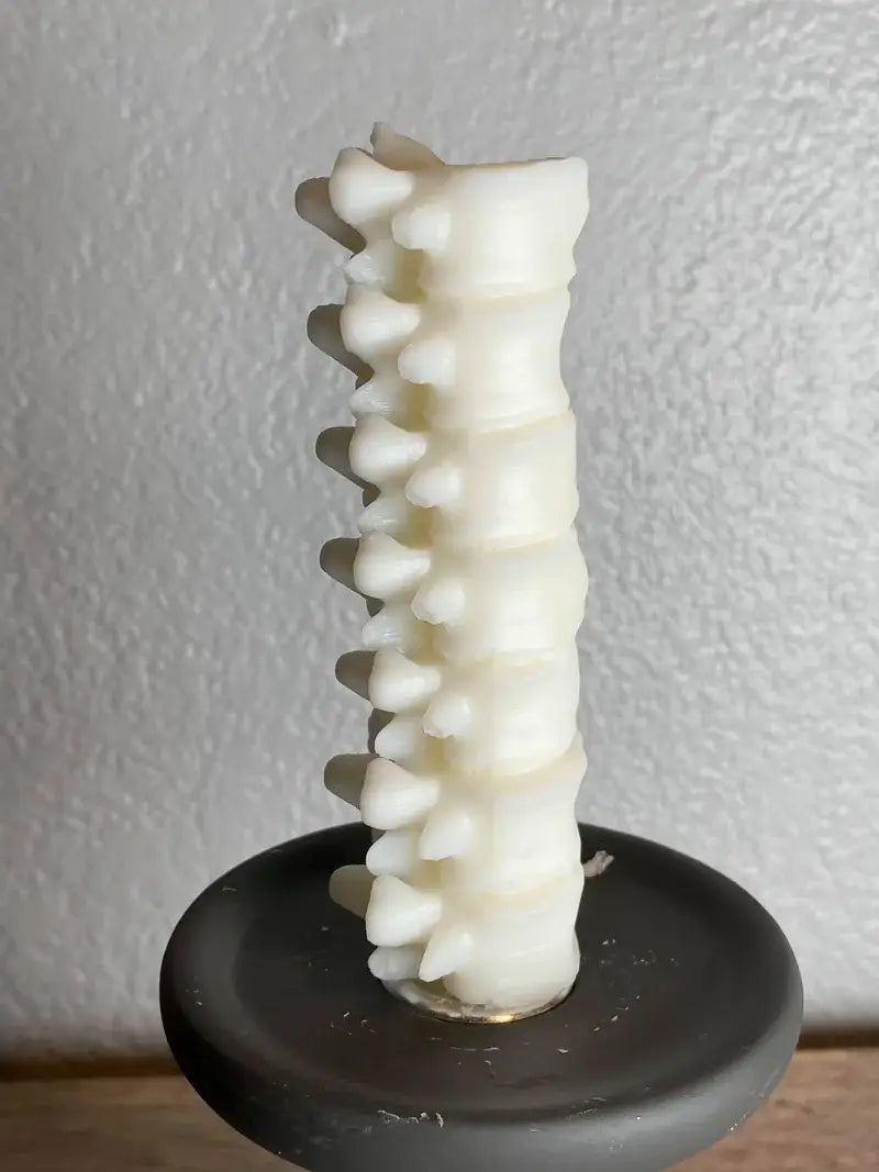 Small Spine Candle: White / Fireside