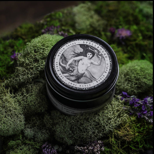 NOIR | Spellbound | 8oz Travel Candle