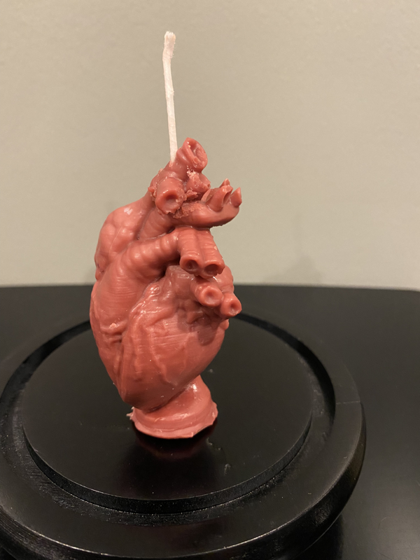 Anatomical Heart Small
